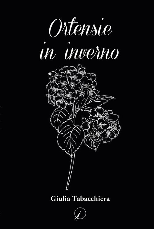 Ortensie in inverno