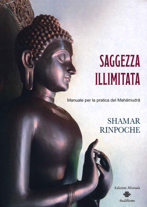 Saggezza illimitata. Manuale per la pratica del Mah&agrave;mudr&agrave;