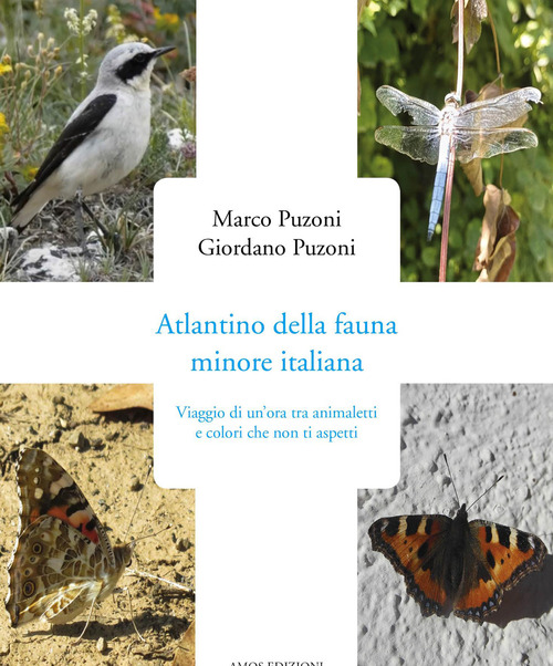 Photo gallery principale