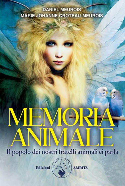Photo gallery principale