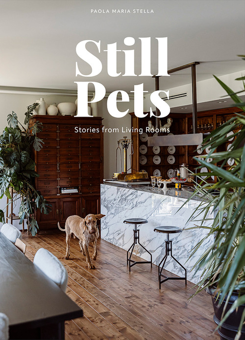 Still pets. Stories from living rooms. Dogs. Ediz. italiana e inglese