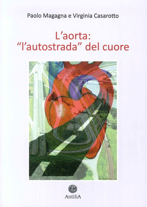 L'aorta. «L'autostrada del cuore»
