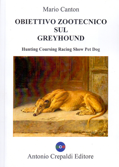 Obiettivo zootecnico sul greyhound. Hunting coursing racing show pet dog