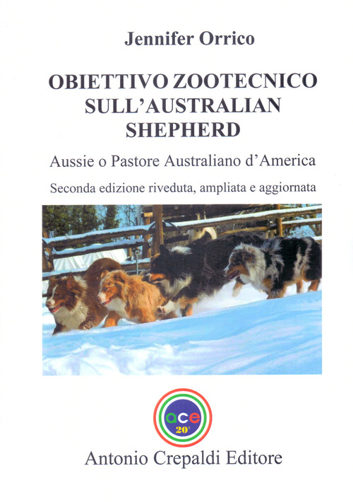 Obiettivo zootecnico sull'Australian Shepherd. Aussie. Pastore australiano d'America