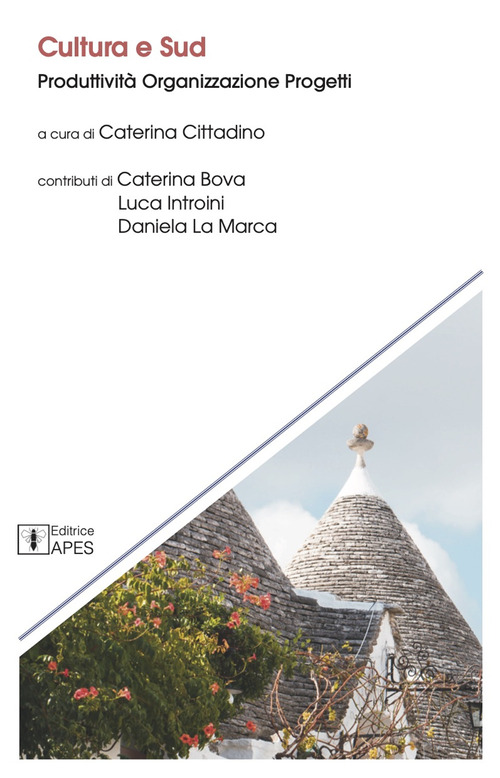 Cultura e Sud. Produttivit&agrave; organizzazione progetti