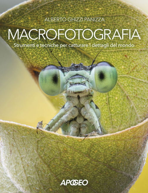 Photo gallery principale