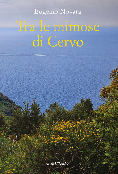 Tra le mimose di Cervo
