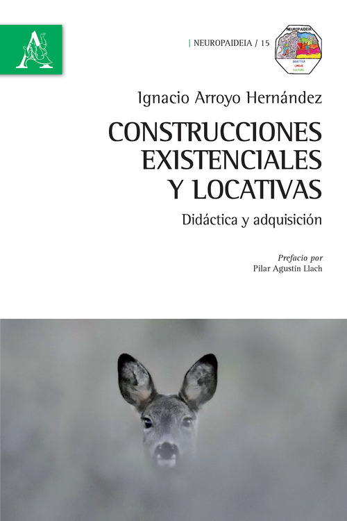 Construcciones existenciales y locativas. Did&aacute;ctica y adquisici&oacute;n