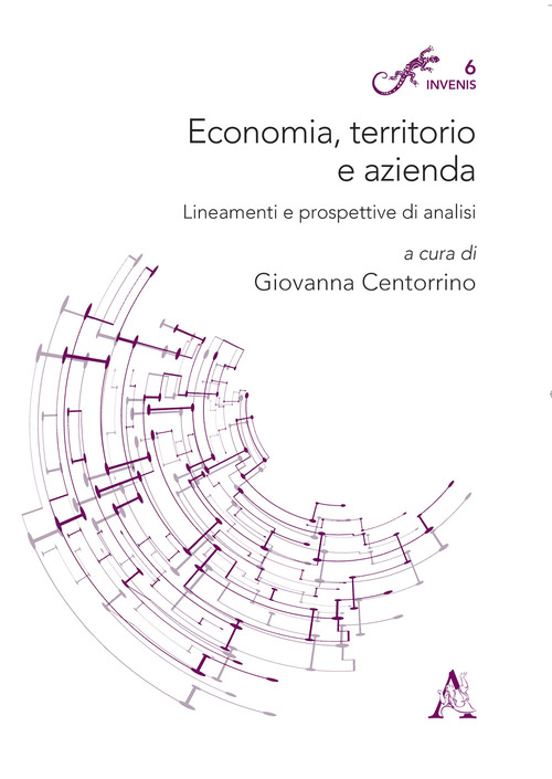 Economia, territorio e azienda. Lineamenti e prospettive di analisi