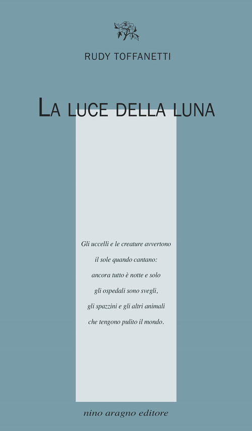 La luce della luna