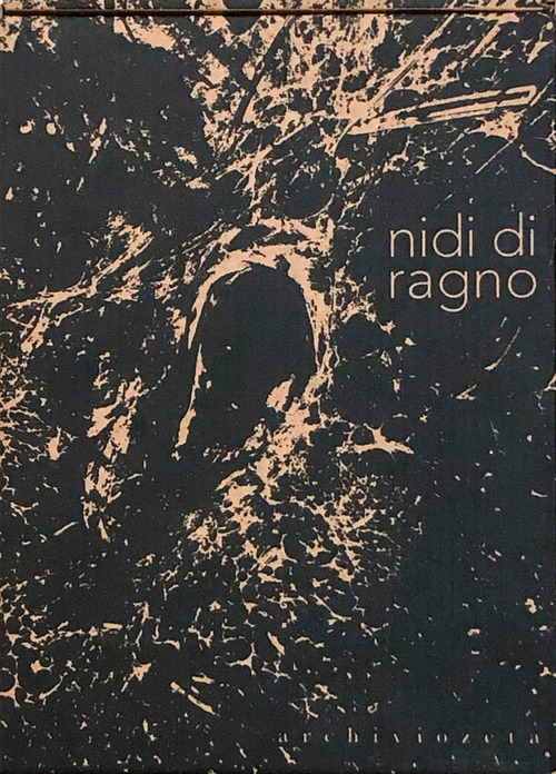 Nidi di ragno
