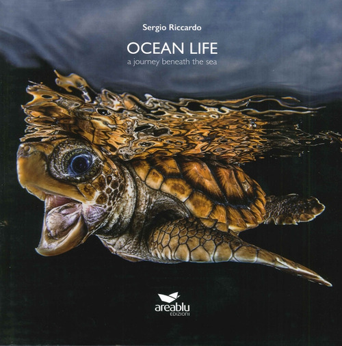 Ocean life. A journey beneath the sea