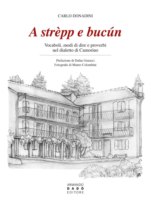A str&egrave;pp e buc&uacute;n. Vocaboli, modi di dire e proverbi nel dialetto di Camorino