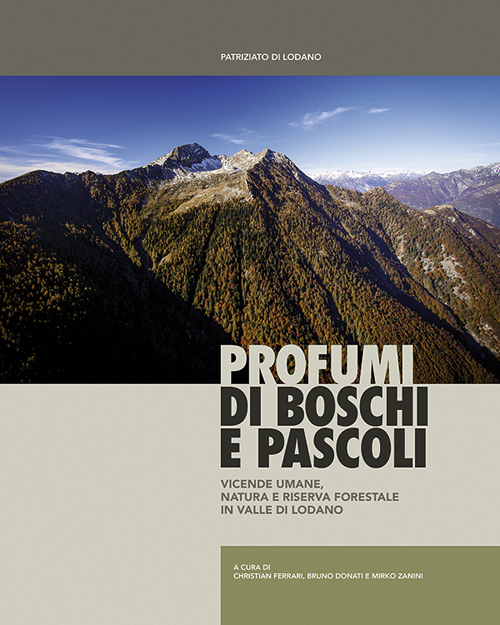 Photo gallery principale
