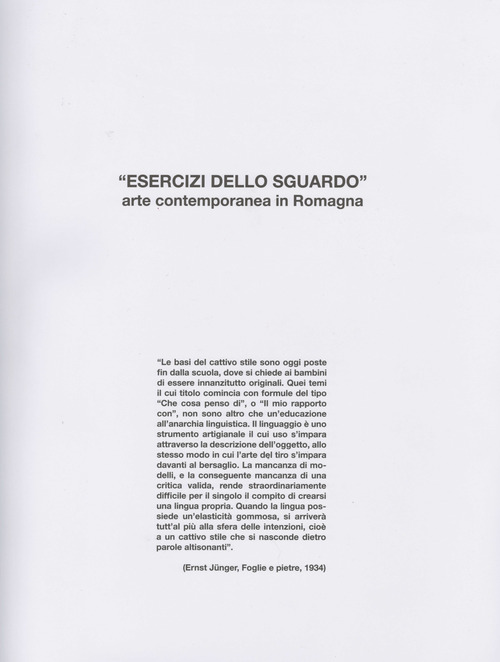 «Esercizi dello sguardo». Arte contemporanea in Romagna