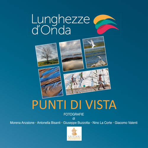 Punti di vista