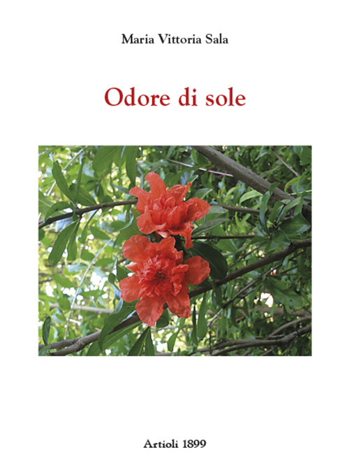 Photo gallery principale
