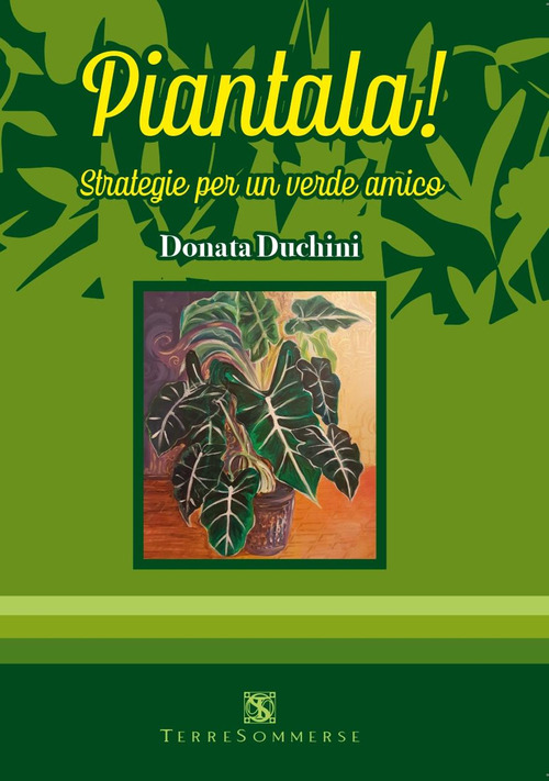 Photo gallery principale