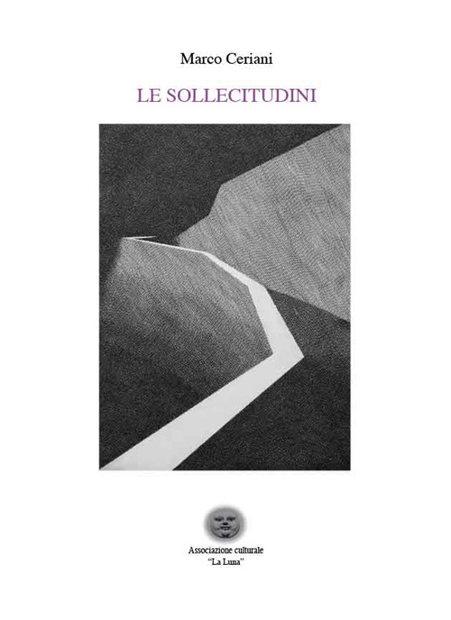 Le sollecitudini