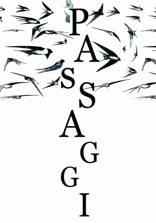 Passaggi. Un progetto d'arte relazionale (Catalogo della mostra tenuta a Macerata, Museo Palazzo Ricci, dal 27 aprile al 26 maggio 2019)