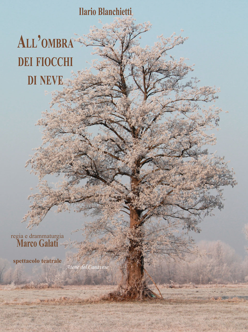 Photo gallery principale