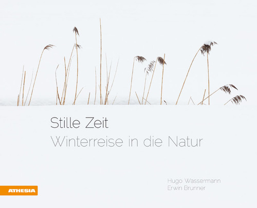 Stille Zeit