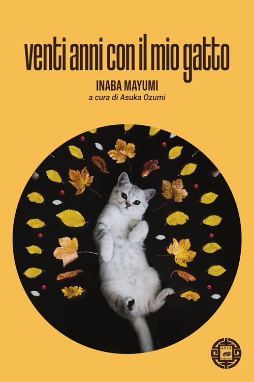 Photo gallery principale