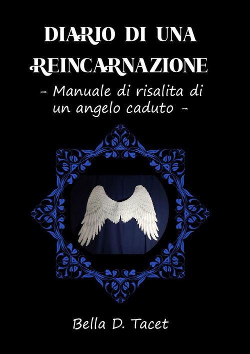 Diario di una reincarnazione. Manuale di risalita di un angelo caduto