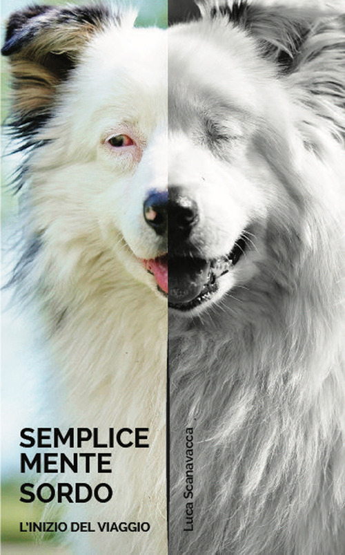 Semplicemente sordo. L'inizio del viaggio