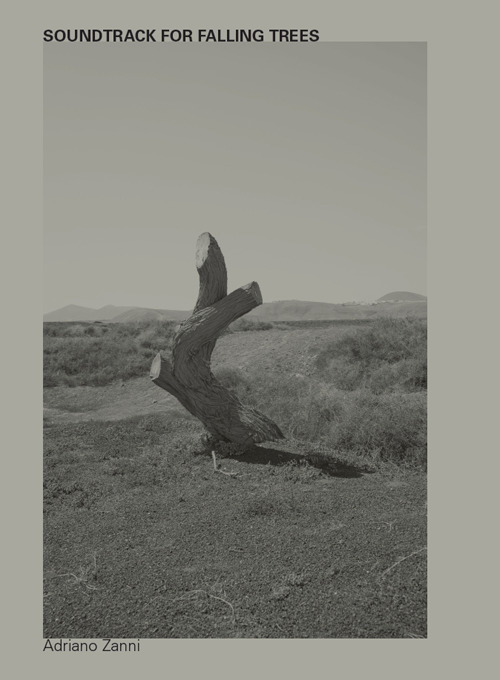 Soundtrack for falling trees. Ediz. inglese e italiana