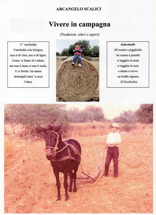 Vivere in campagna. Tradizioni odori e sapori