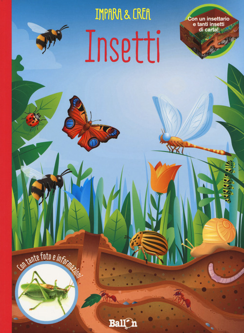 Insetti. Impara & crea