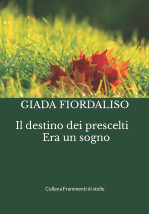 Photo gallery principale