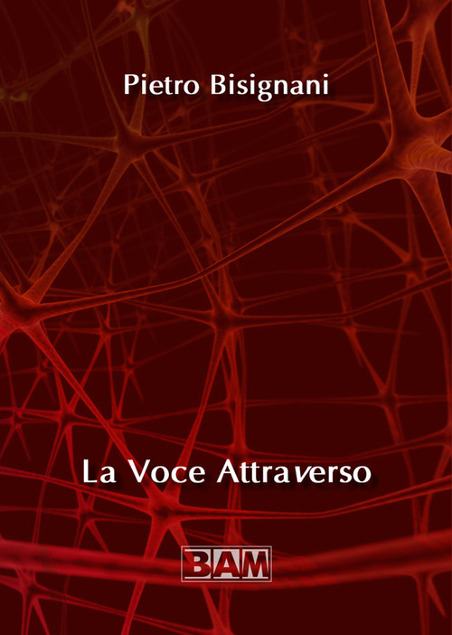 La voce attraverso