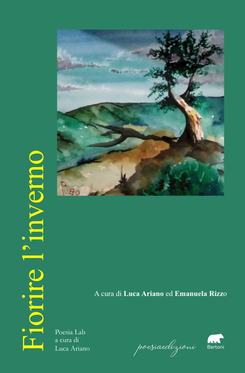 Photo gallery principale