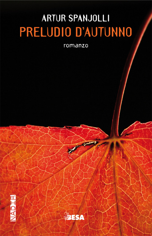 Photo gallery principale