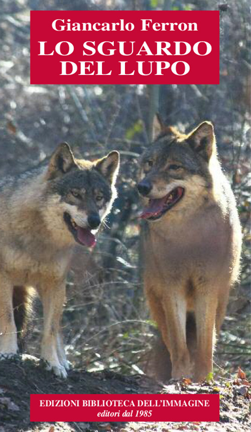 Photo gallery principale