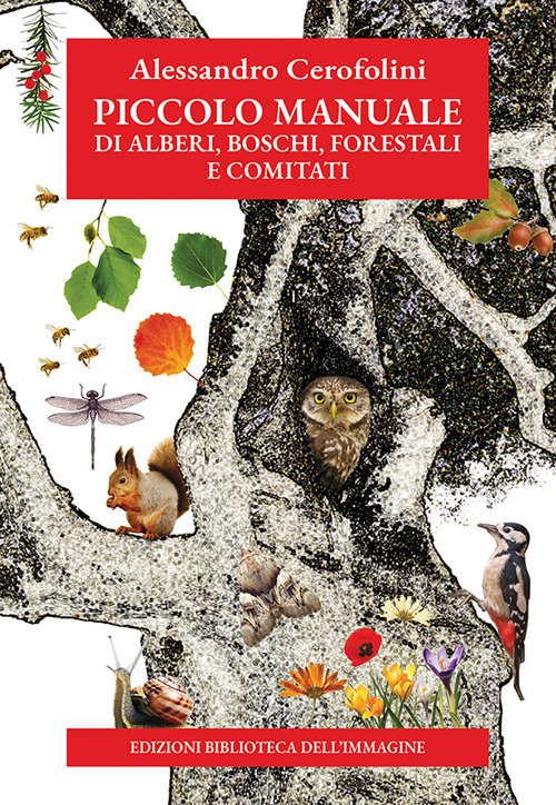 Piccolo manuale di alberi, boschi, forestali e comitati