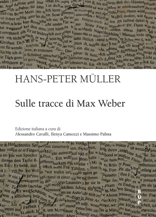Sulle tracce di Max Weber