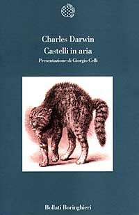Castelli in aria