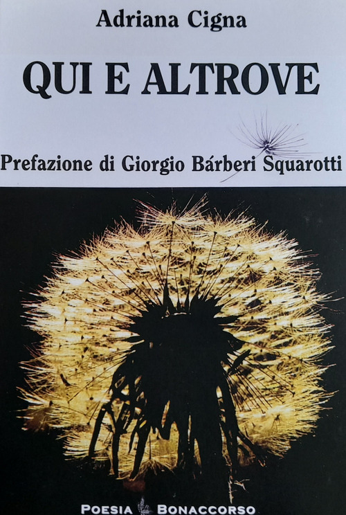 Qui e altrove