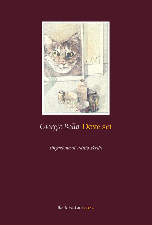 Dove sei