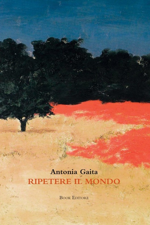 Photo gallery principale