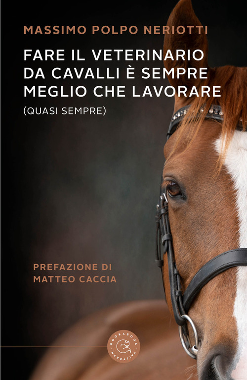 Fare il veterinario da cavalli &egrave; sempre meglio che lavorare (quasi sempre)