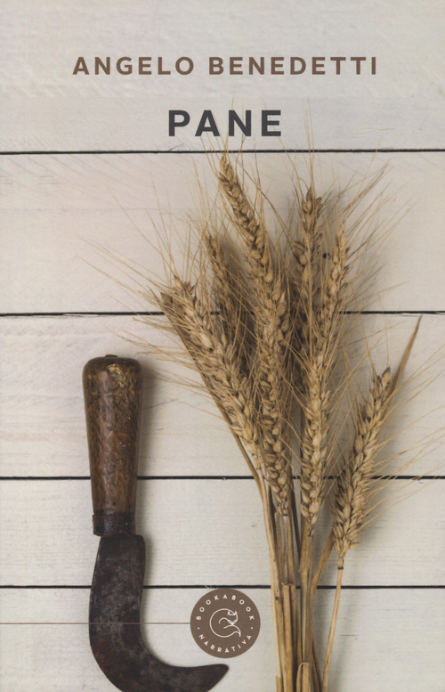 Photo gallery principale