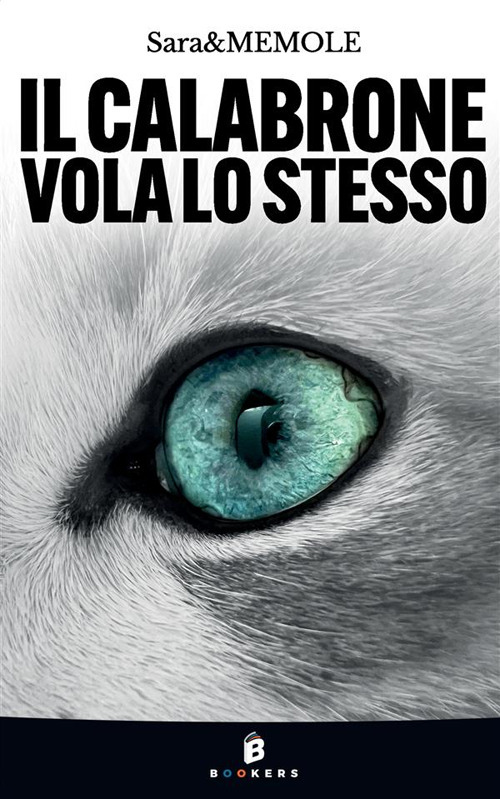Il calabrone vola lo stesso