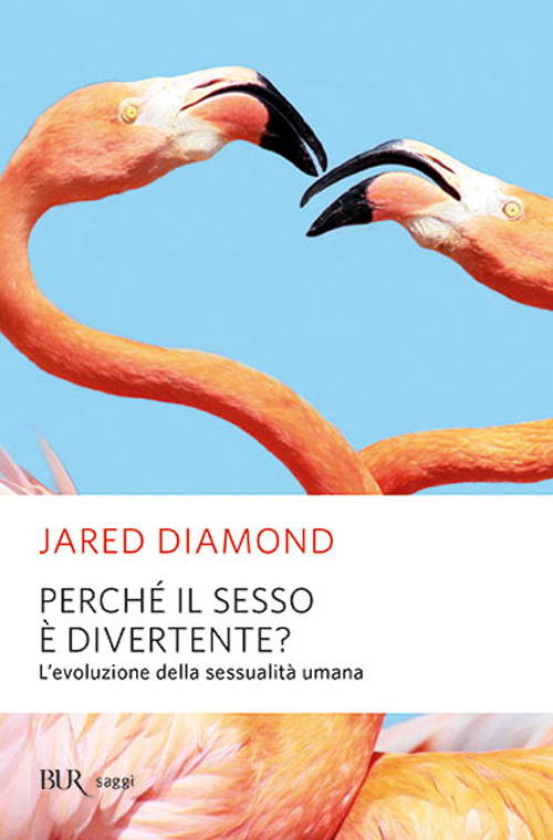 Perché il sesso è divertente?