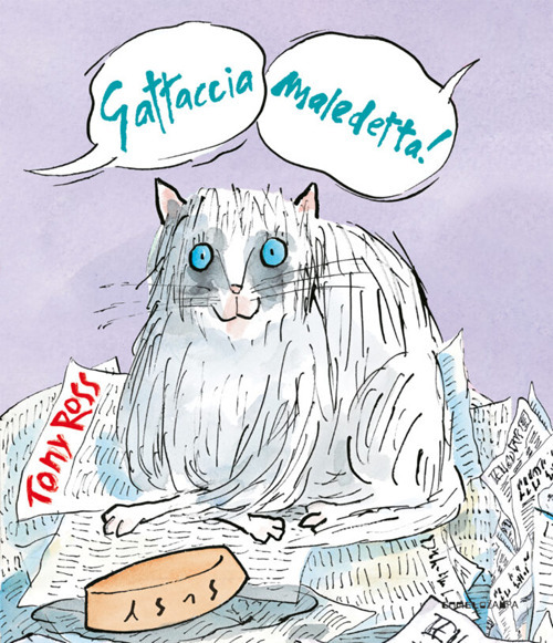 Gattaccia maledetta!