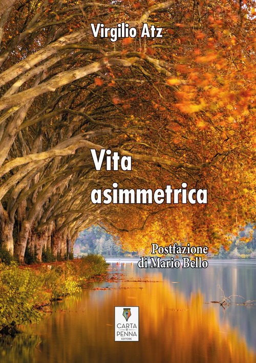 Vita asimmetrica
