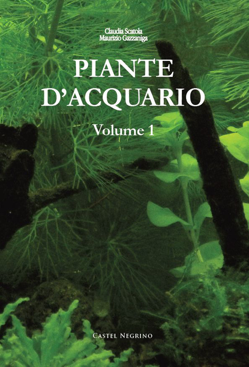 Piante d'acquario